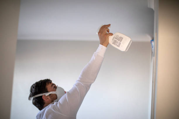 Professional Mold Remediation in Corona, CA