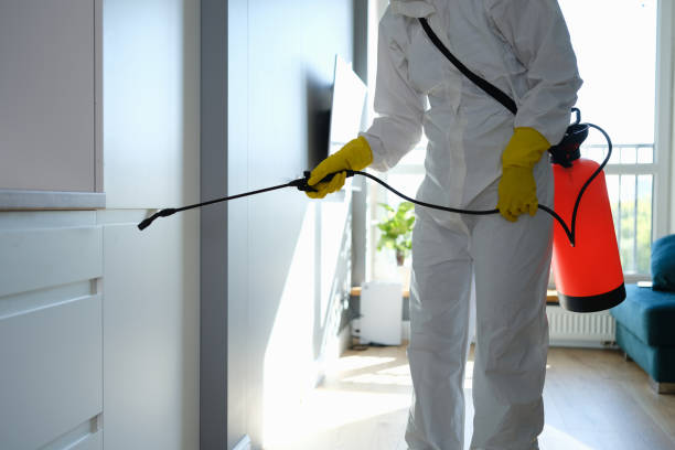 Best Kitchen Mold Remediation in Corona, CA