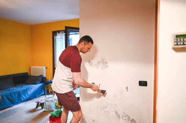 Best Residential Mold Remediation in Corona, CA
